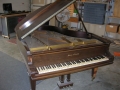 DSCN0686