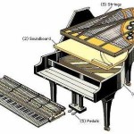 Grand Piano Cross Section